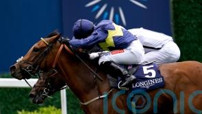Jumbly grabs Valiant victory in exciting Ascot finish
