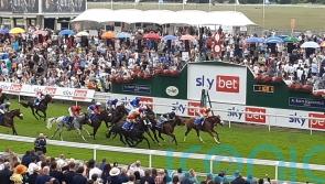 Gale Force Maya too strong for York rivals