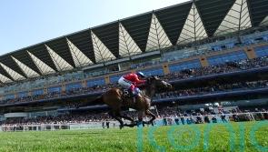 No immediate plans for Inspiral after Newmarket reverse