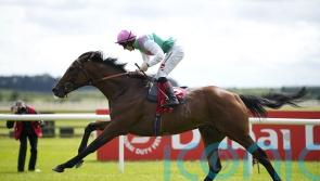 Westover set for deserved break after recent exertions