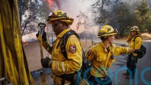 Firefighters unable to contain destructive Oak Fire in California