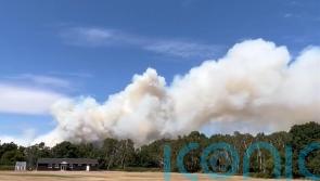 Major incident declared over large fire at Surrey’s Hankley Common