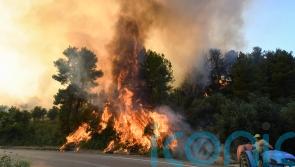 Six Greek villages evacuated as wildfire burns near Ancient Olympia