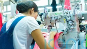 ‘Low-paid workers unlikely to report abuses out of fear and insecurity’