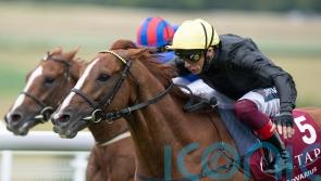 Stradivarius aiming to seal Goodwood legacy with fifth Cup strike