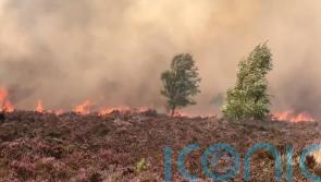 Fire chiefs urge UK cities to prepare for wildfires