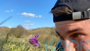7 fantastic facts about plants – from the new face of botany