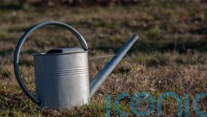 How to prepare your garden for the potential drought