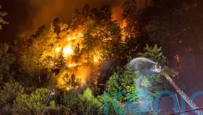 Hundreds of firefighters battle blazes in Germany and Czech Republic