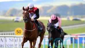 Emmet Mullins’ pair primed for Galway Plate challenge