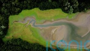 Drought: What is it and how can the effects be tackled?
