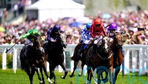 Loughnane confident Walbank can make Molecomb mark