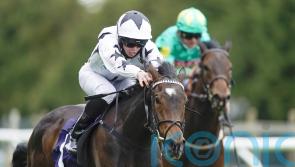 Oscula makes swift return in search of Oak Tree honours