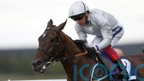 Forest Falcon swoops for Goodwood glory