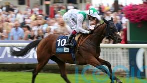 Hoo Ya Mal back in action for new yard at Goodwood