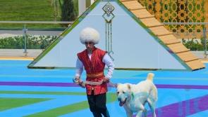 Turkmenistan restricts export of local Alabay dog breed