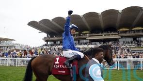 Brilliant Baaeed stays unbeaten with dominant Sussex display