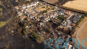 Sadiq Khan pledges £3.1m to tree planting after record heatwaves and wildfires