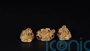 New insight into Galloway Hoard to be revealed in Aberdeen exhibition