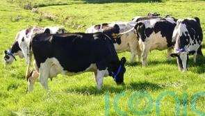 Politicians label 25% compromise on agriculture emissions as ‘failure’