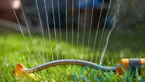 Households’ garden accessories worth £800 on average, says insurer