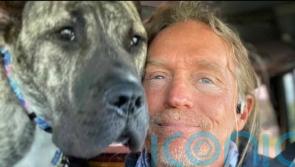 Abandoned dog found so emaciated he was “just 30 minutes from death” is now living it large as a canine beer taster