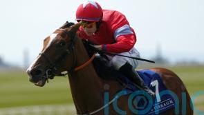 Wesley Joyce suffers chest injuries in Galway fall