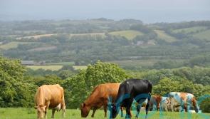 Widespread anger among farming communities over ‘unrealistic’ emissions target