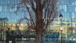 Homelessness increases by almost a third in a year, figures show