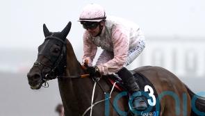 Sionnach Eile has Cesarewitch aim after Galway romp