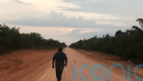 Brazil moves toward paving road which is key to Amazon deforestation