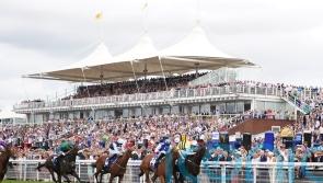 Commanche Falls claims historic Stewards’ Cup repeat