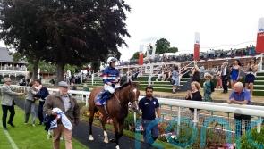 Sir Busker ready to take on International big guns