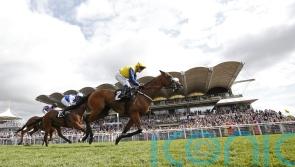 Cambridgeshire target for Goodwood hero Ajero