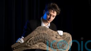 40-million-year-old crocodile fossil could be snapped up for £15,000 at auction