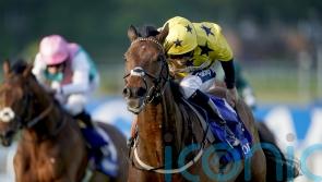 Ebor consolation on Euchen Glen’s agenda