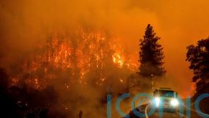 Two bodies found in burned vehicle in California wildfire zone