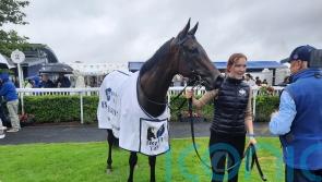 Voce claims Ballyhane victory for Joseph O’Brien