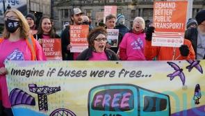 Action plan for environmental rights woefully inadequate, say campaigners