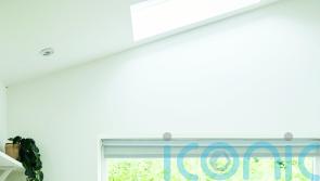 6 cheap and easy ways to rewild your home
