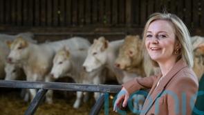 Liz Truss plan to cut public sector pay would ‘level down’ nation – Tory critics