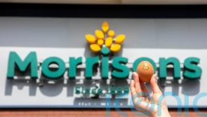 Morrisons launches ‘carbon-neutral’ eggs from hens fed insects instead of soya