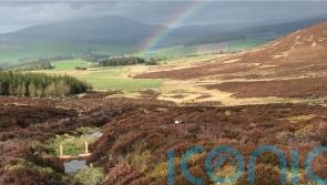 Small dams could keep distilleries producing whisky through dry spells