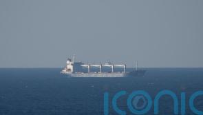 Cargo ship carrying Ukrainian grain awaits inspection off Turkey
