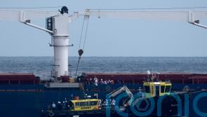 Cargo ship carrying Ukrainian grain checked by inspectors