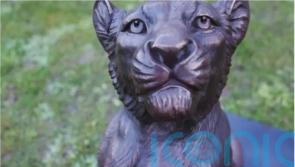 Police appeal after charity’s lion statue stolen from Bristol outdoor exhibition