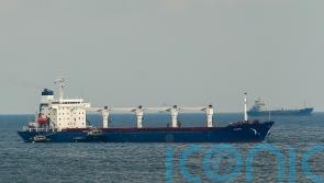 Ship with Ukrainian grain cleared to travel to Lebanon