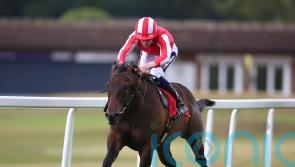 Rocket Rodney set for French assignment in Breeders’ Cup build-up