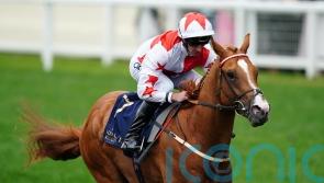 Doncaster next possible port of call for Holloway Boy