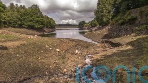 Wetlands ‘must be restored on enormous scale’ to cope with more droughts
